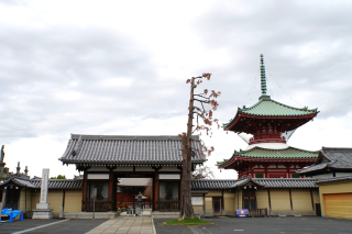 安養山西念寺円乗院の参拝記録1