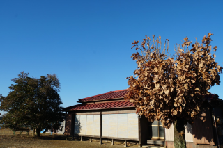 慈雲山長松寺の参拝記録1