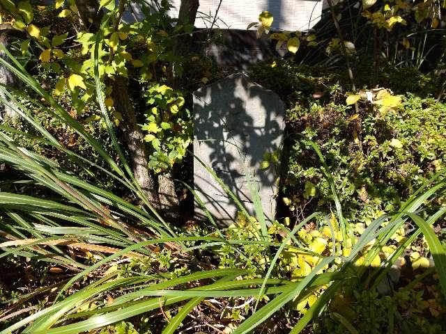 庚申塔･石碑の写真1