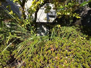 庚申塔･石碑の参拝記録(りゅうじさん)