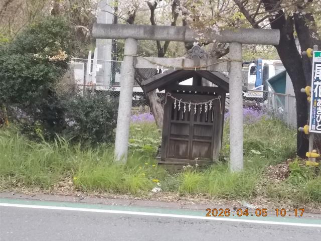 埼玉県上尾市二ツ宮付近 二ツ宮の青面金剛の写真2
