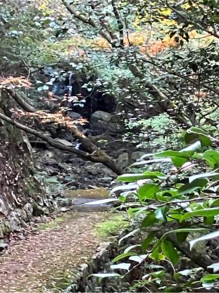 白瀧不動堂の参拝記録(りんさん)