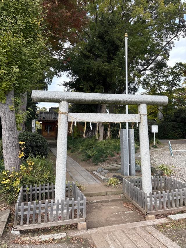 八坂神社の写真1