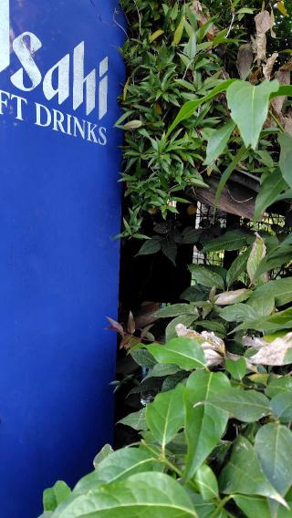 祠の参拝記録(りんごぐみさん)