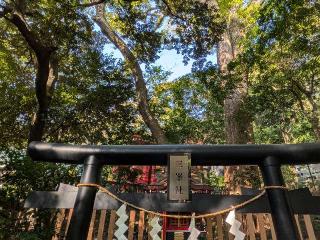 三峯神社 摂末社（熱海來宮神社境内）の参拝記録(恭子さん)