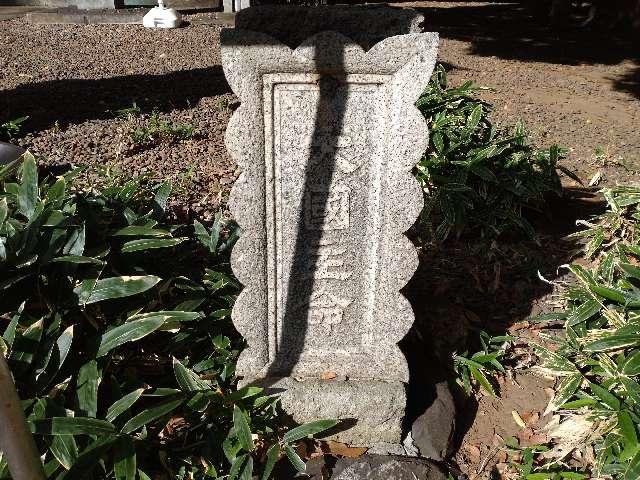 大国主命(駒繋神社・陸稲の藤蔵糯横)の写真1