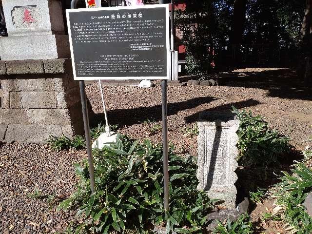 大国主命(駒繋神社・陸稲の藤蔵糯横)の参拝記録1