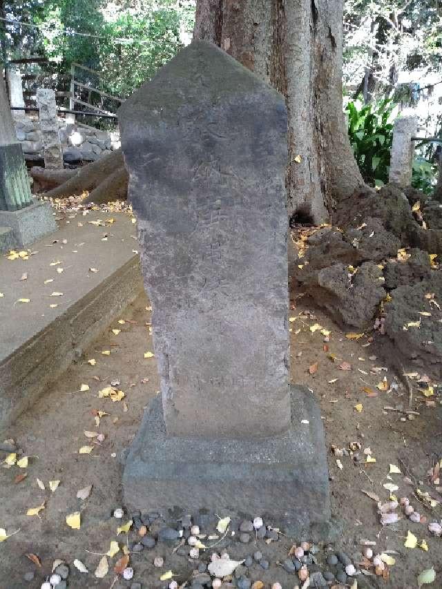 庚申塔(駒繋神社境内)の写真1