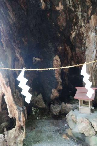 第二大楠（熱海來宮神社 境内）の参拝記録(ヒロさん)