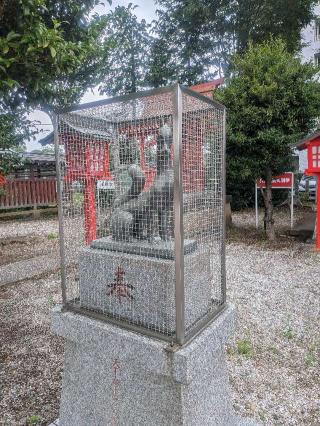 真能稲荷神社（八幡神社境内）の参拝記録(はくすみさん)