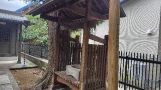 淡嶋神社の参拝記録(りんごぐみさん)