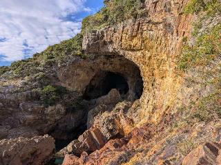 お巳蔵さんの参拝記録(雪月さん)