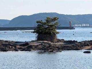 瀬織津姫の参拝記録(雪月さん)