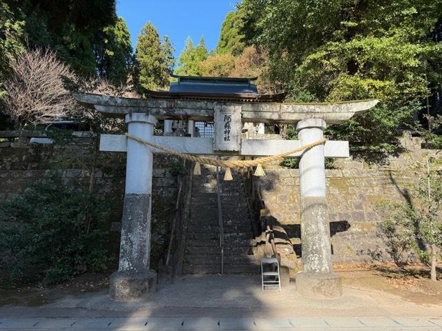 勢井阿蘇神社の写真1