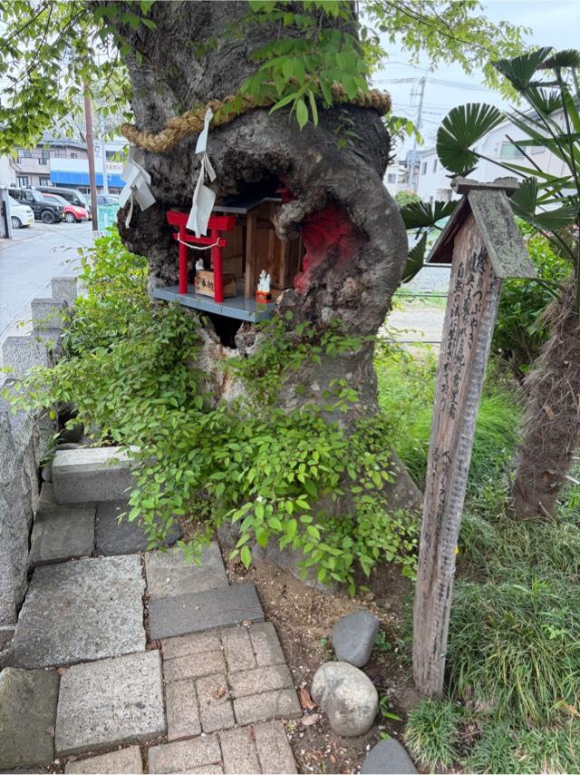 欅稲荷神社（桶川稲荷神社境内）の参拝記録1