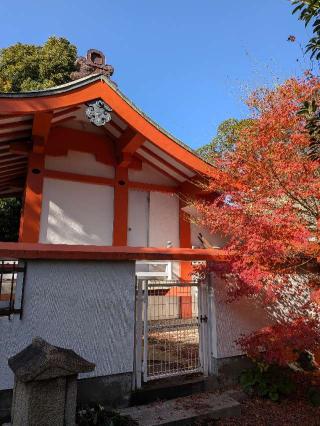 貴布祢神社の参拝記録(こまいぬおさん)