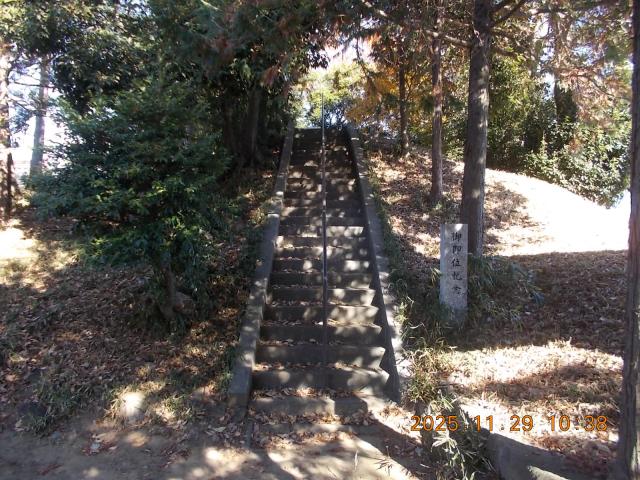 埼玉県本庄市東富田３０１ 愛宕神社（熊野十二社神社境内）の写真2