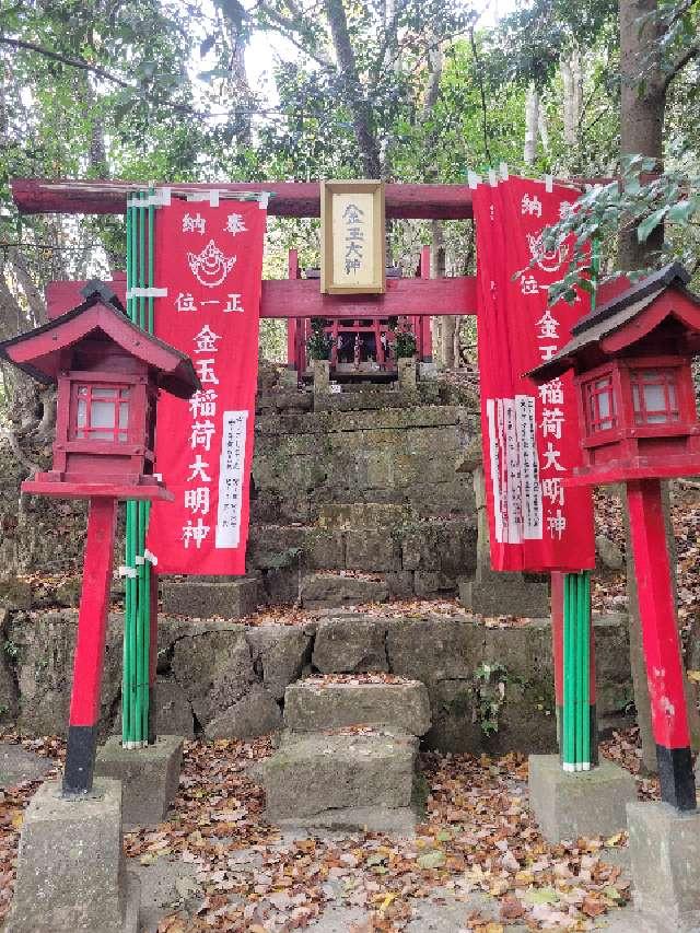 金玉稲荷神社の写真1