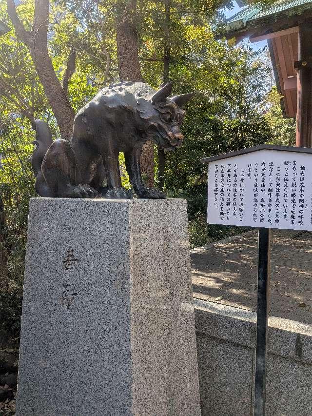 天地睨みの狛犬（稲毛神社内）の参拝記録1
