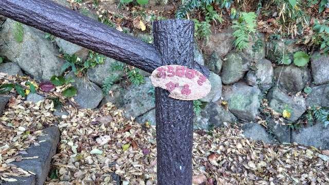 神奈川県横浜市栄区公田町１５１７−５８ アラハバキ神の写真2