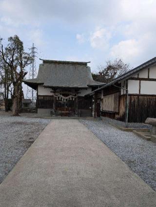 若咲神社の参拝記録(こまいぬおさん)