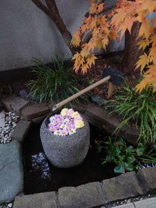 妙恵寺の参拝記録(ゆなじじさん)