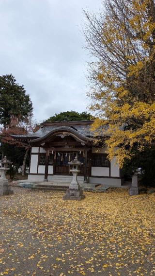 祇園神社の参拝記録(こまいぬおさん)