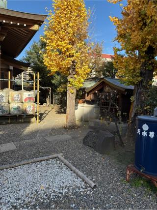 諏訪社（白鬚神社　境内）の参拝記録(⛩️🐍🐢まめ🐢🐍⛩️さん)