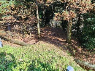 新生龍王社の参拝記録(ろかずさん)