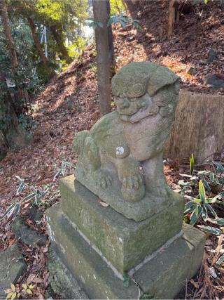 阿夫利神社　奥宮の参拝記録(⛩️🐍🐢まめ🐢🐍⛩️さん)