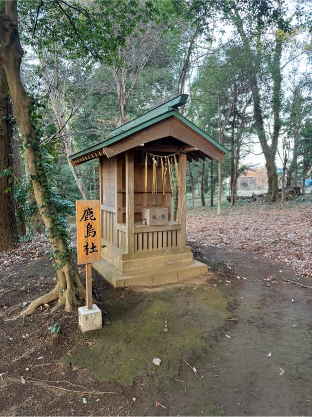 鹿島社（鳥見神社　境内）の写真1