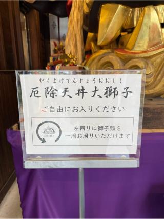 厄除天井大獅子（波除神社　境内）の参拝記録(⛩️🐍🐢まめ🐢🐍⛩️さん)