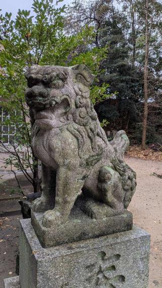 神武神社の参拝記録(こまいぬおさん)