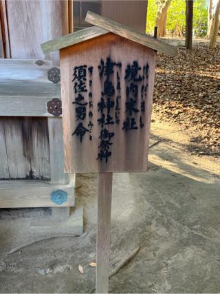津島神社の参拝記録(こーちんさん)