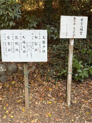 若宮八幡宮•天磐戸社•白髪社•大福天社•高根社•若宮社の参拝記録(こーちんさん)