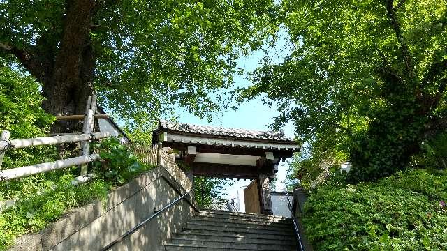 神奈川県横浜市保土ケ谷区西久保町137 円福寺の写真1