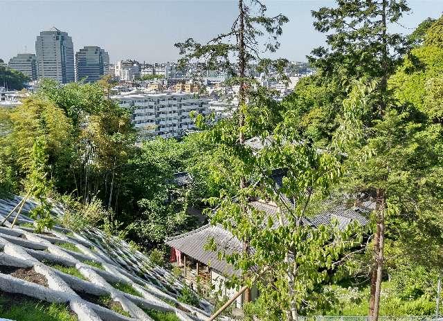 神奈川県横浜市保土ケ谷区西久保町137 円福寺の写真6