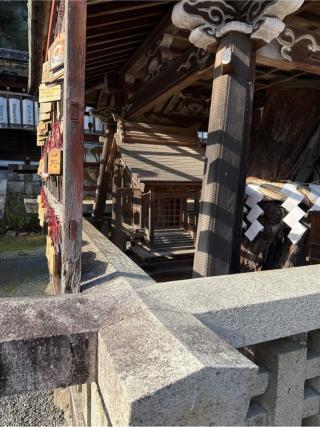 相性の松（松尾大社　境内）の参拝記録(⛩️🐍🐢まめ🐢🐍⛩️さん)