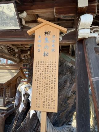 相性の松（松尾大社　境内）の参拝記録(⛩️🐍🐢まめ🐢🐍⛩️さん)