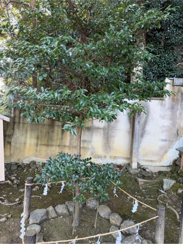 伊勢神宮（松尾大社　境内）の参拝記録1