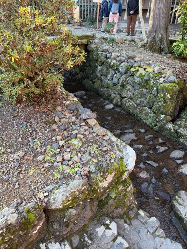 神水（松尾大社　境内）の写真1