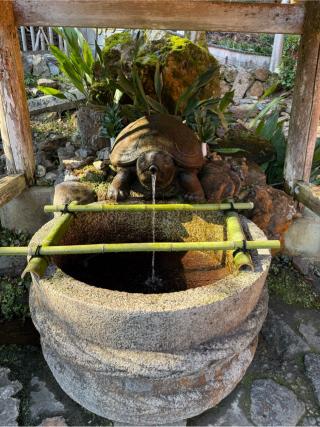 神水（松尾大社　境内）の参拝記録(⛩️🐍🐢まめ🐢🐍⛩️さん)