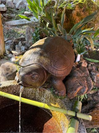 神水（松尾大社　境内）の参拝記録(⛩️🐍🐢まめ🐢🐍⛩️さん)