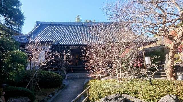 妙秀山 樹源寺の参拝記録2