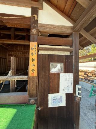神馬舎（上賀茂神社境内）の参拝記録(⛩️🐍🐢まめ🐢🐍⛩️さん)
