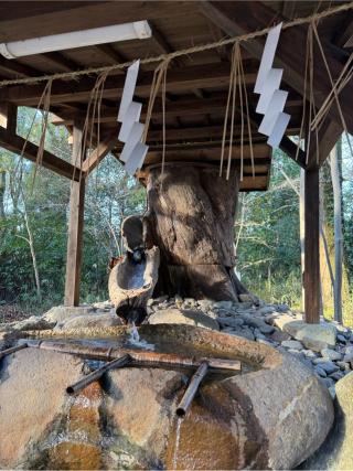 垂水（下鴨神社境内）の参拝記録(⛩️🐍🐢まめ🐢🐍⛩️さん)