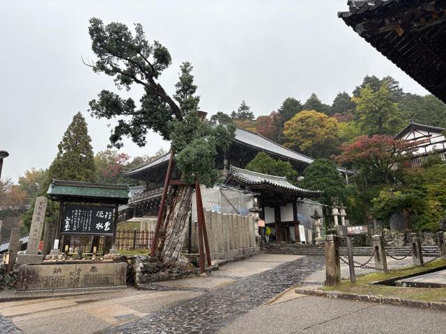 二月堂の参拝記録2