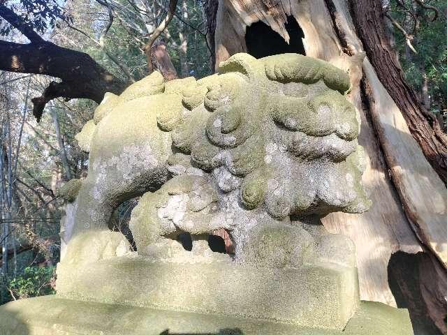 若宮八幡神社の参拝記録2