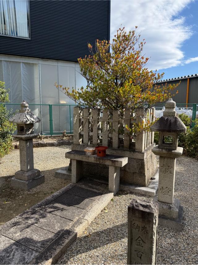 御神木（田中神社境内）の写真1