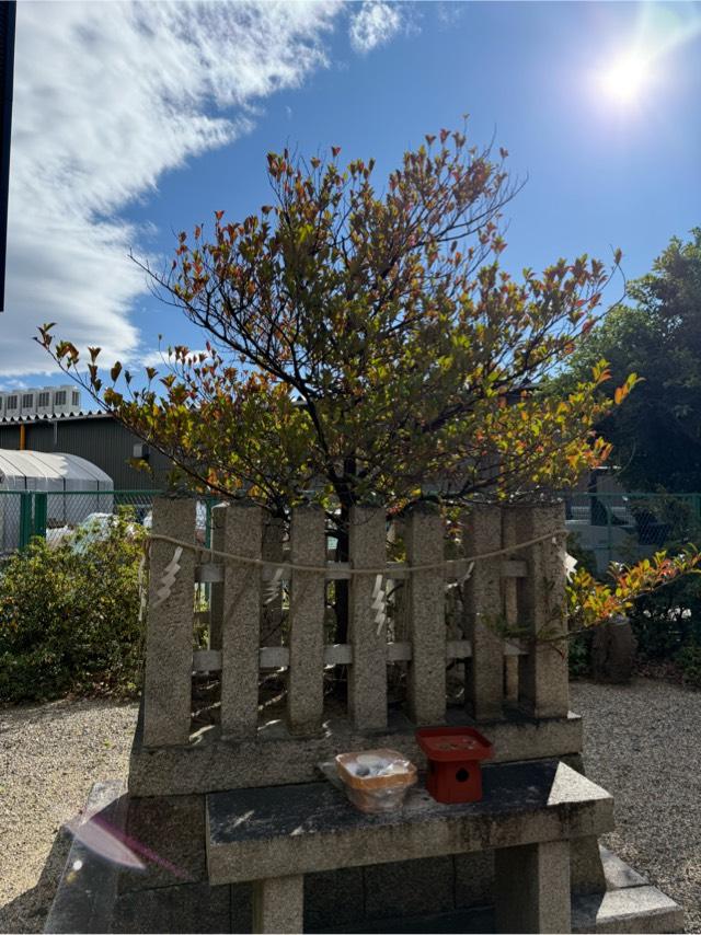 御神木（田中神社境内）の参拝記録1